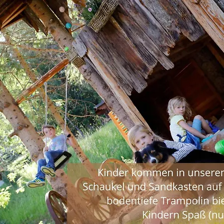 Larchen-chalet 1 아파트 Winkl (Spittal an der Drau)