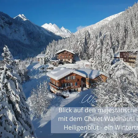 Larchen-chalet 1 아파트 Winkl (Spittal an der Drau)